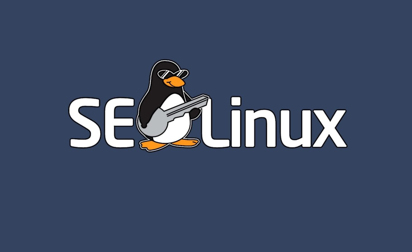 SELinux چیست